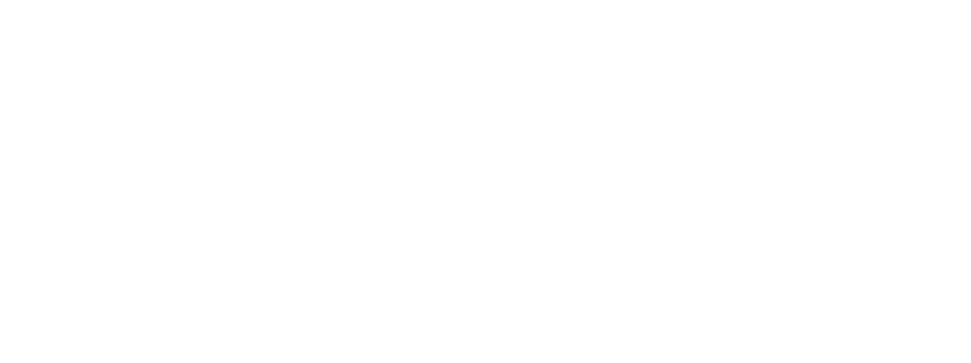Albert Ballin Preise