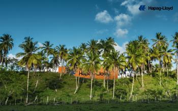 HLAG Wallpaper Truck palms forest Logo