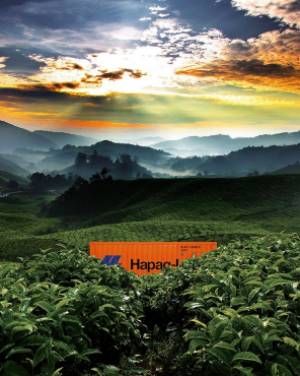 HLAG__News_Tiles_Liner_Service_Orange_17.jpg