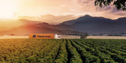 HLAG Content coffee plantation