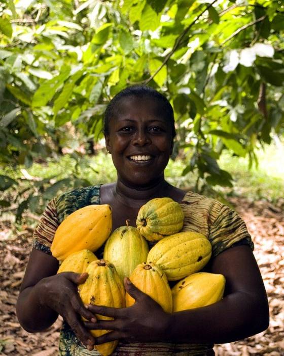 fruit-3247447_960_720.jpg
