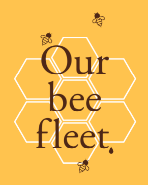 HLAG_News_Kachel_20190601_BeeFleet.png