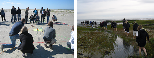 juist teambuilding u wattwanderung