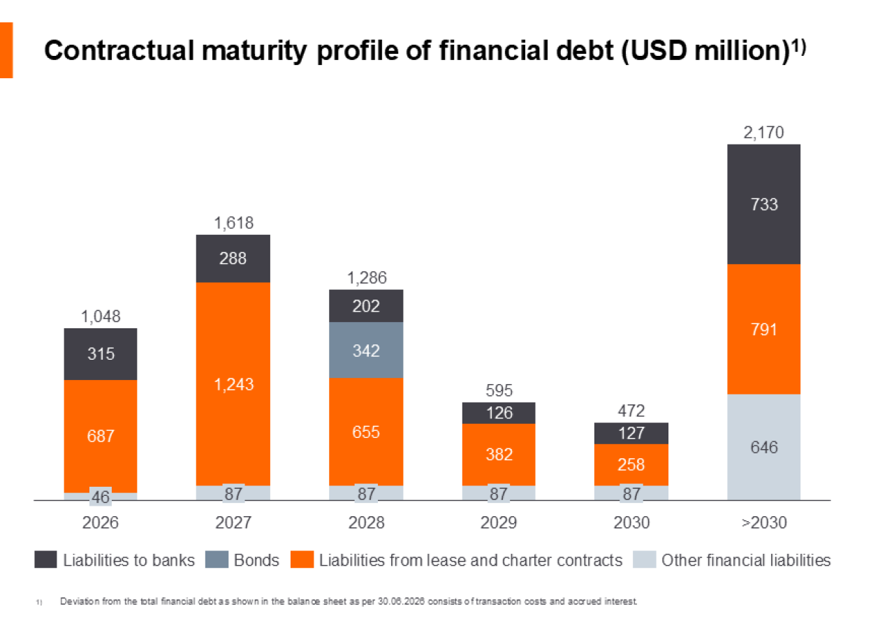 Financial debt profile H EN