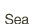 Sea