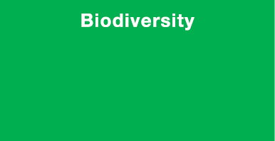 Biodiversity