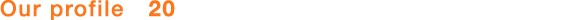 Our profile 20