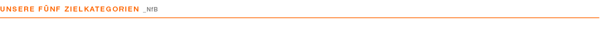 Unsere f nf Zielkategorien _NfB