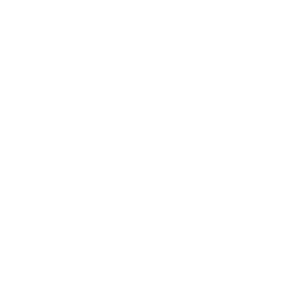 » Wir wollen unseren ­Kundinnen und Kunden ein nachhaltiges ­kommerzielles Transportprodukt auf der ­Basis von Biokra...