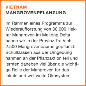 Vietnam Mangrovenpflanzung Im Rahmen eines Programms zur ­Wiederaufforstung von 30.000 Hek­tar Mangroven im Mekon﻿g D...