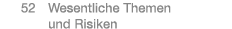  52 Wesentliche Themen und Risiken
