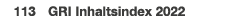  113 GRI Inhaltsindex 2022