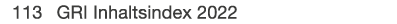  113 GRI Inhaltsindex 2022