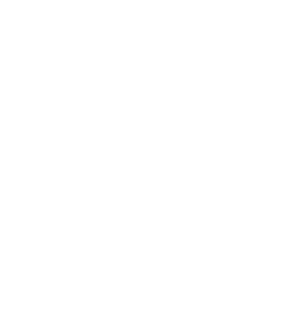 » We want to offer our customers a sustainable commercial transport product based on the use of biofuel, thereby help...