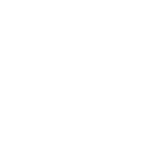 40 land based students on combined vocational training and degree programmes in Germany