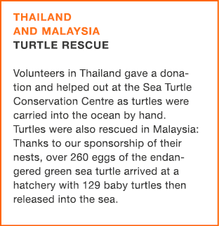 THAILAND AND MALAYSIA TURTLE RESCUE Volunteers in Thailand gave a donation and helped out at the Sea Turtle ­Conserva...