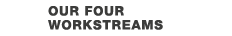  04 our four Workstreams