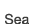 Sea