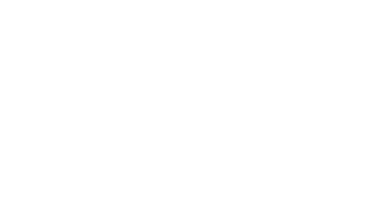 Our decarbonisation programme