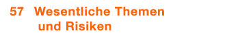  57 Wesentliche Themen und Risiken 
