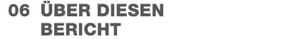 06 ber diesen Bericht