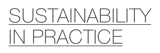 sustainability in practice