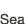 Sea