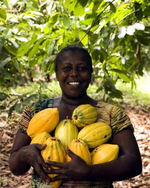 fruit-3247447_960_720.jpg