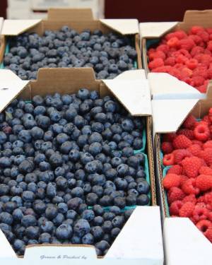 Beeren_Freie_Linzenz_Pixabay.jpg