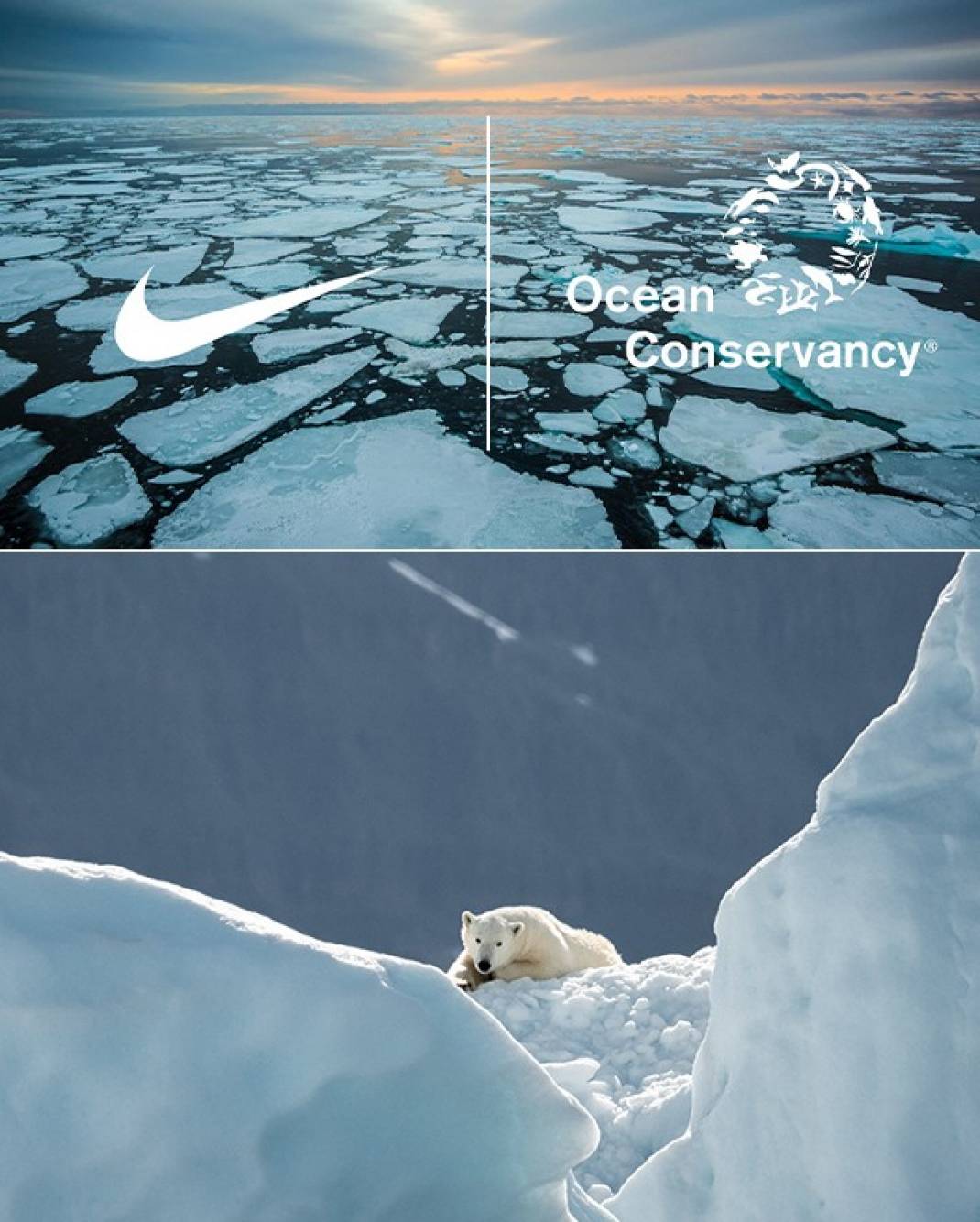 20191201_News_Kachel_Nike_01.jpg