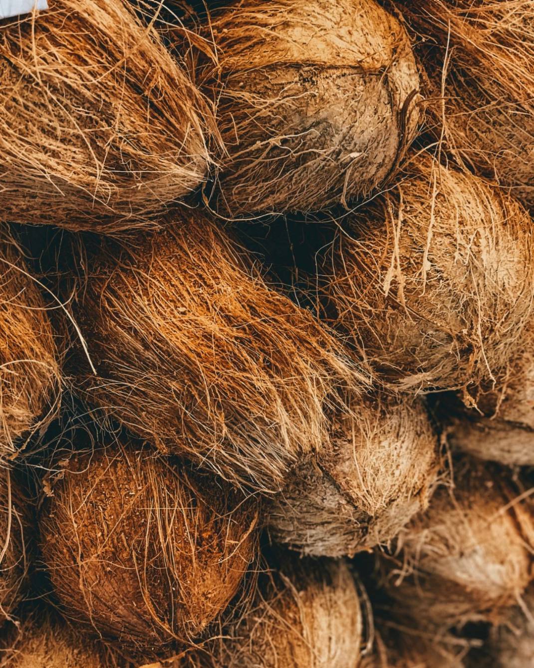 sri-lanka-0nH_OVirQSg-unsplash.jpg