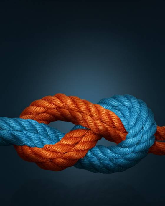 HLAG_Teaser_Gemini-Visual_2223932215_1_Extend.jpg